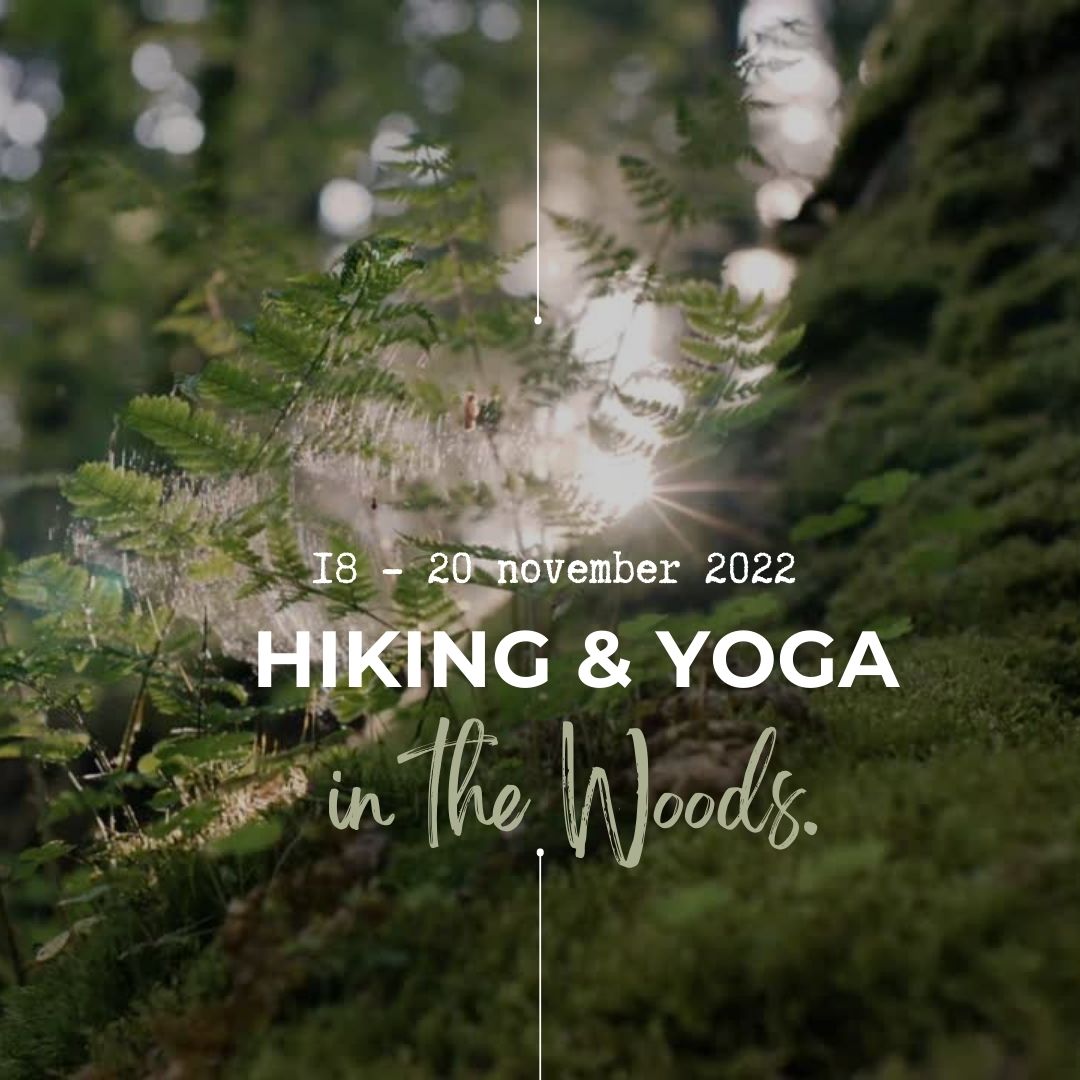 Hiking & Yoga in the Woods