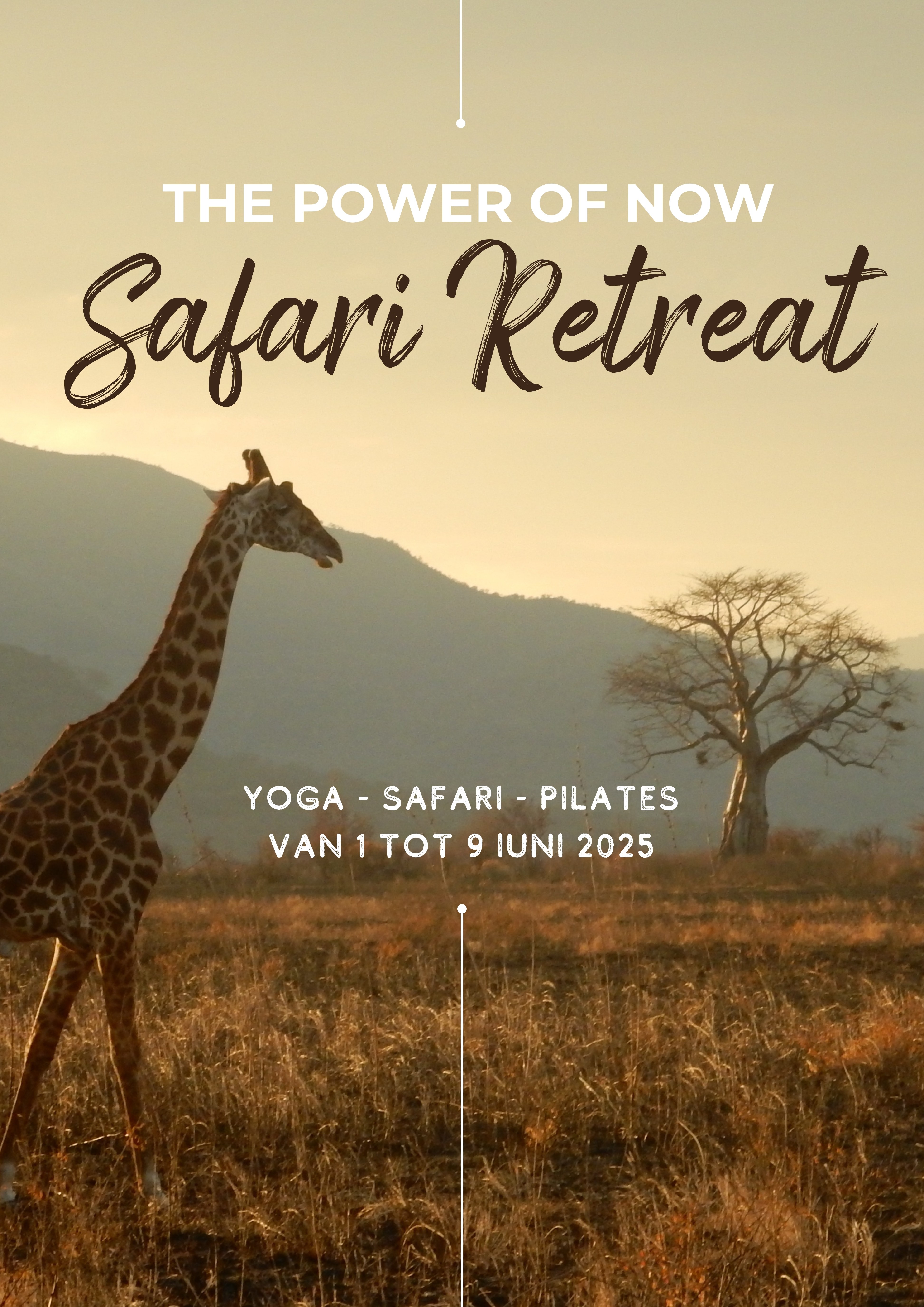 Yoga & Safari in Zuid-Afrika